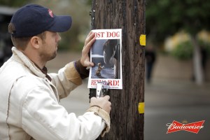 budweiser_lost_dog_notice